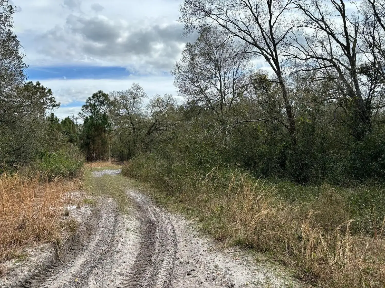 0 County Rd 54, FL 33849 photo 2