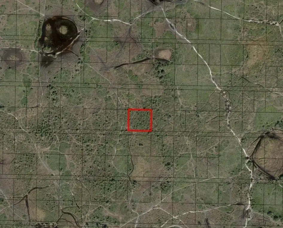 0 NW 312th Street, Okeechobee FL 34972 photo 2