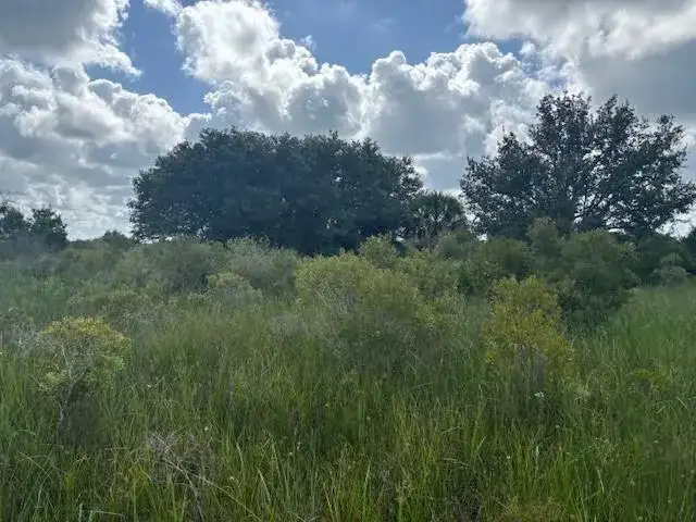 0 NW 316th Street, Okeechobee FL 34972 photo 2