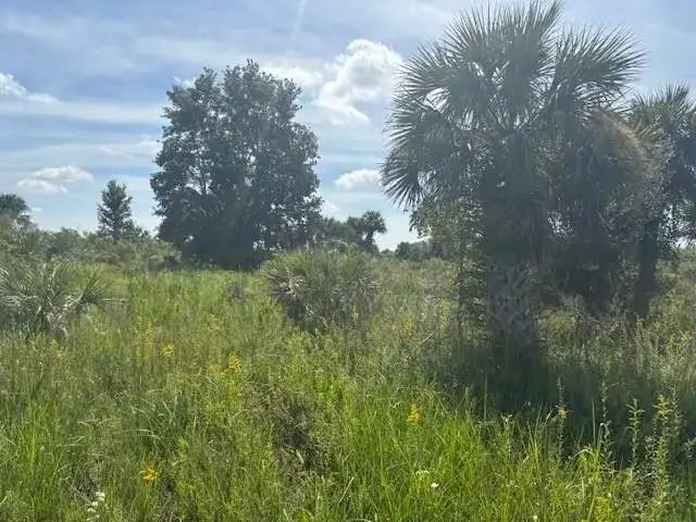 0 NW 310th Street, Okeechobee FL 34972 photo 2