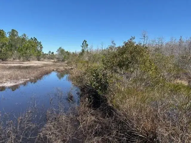 0 Holopaw Groves Road, FL 34772 photo 2