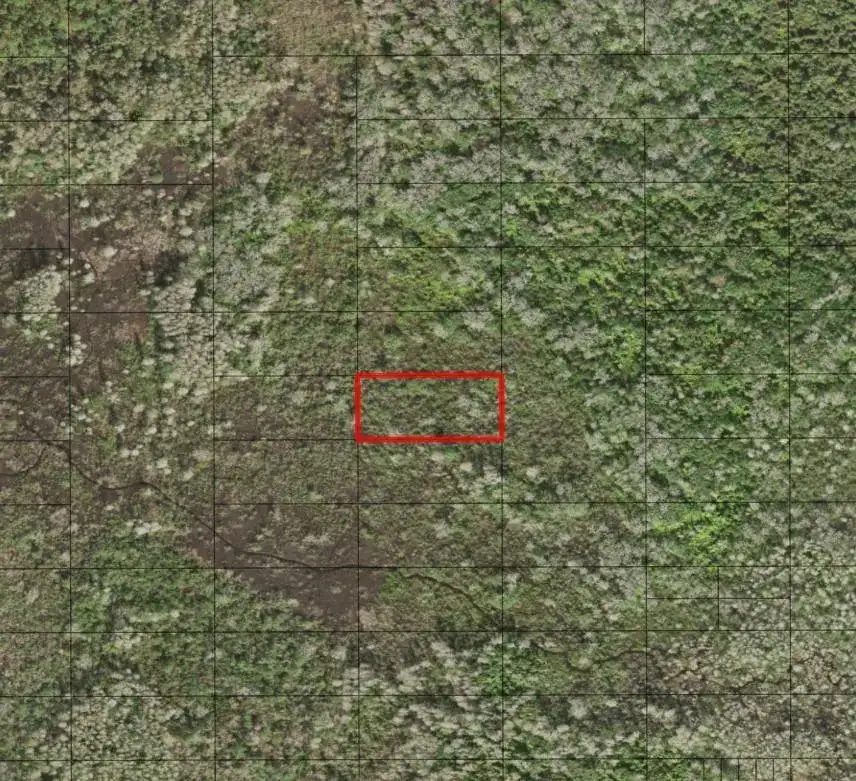 0 Holopaw Groves Road, FL 34772 photo 2