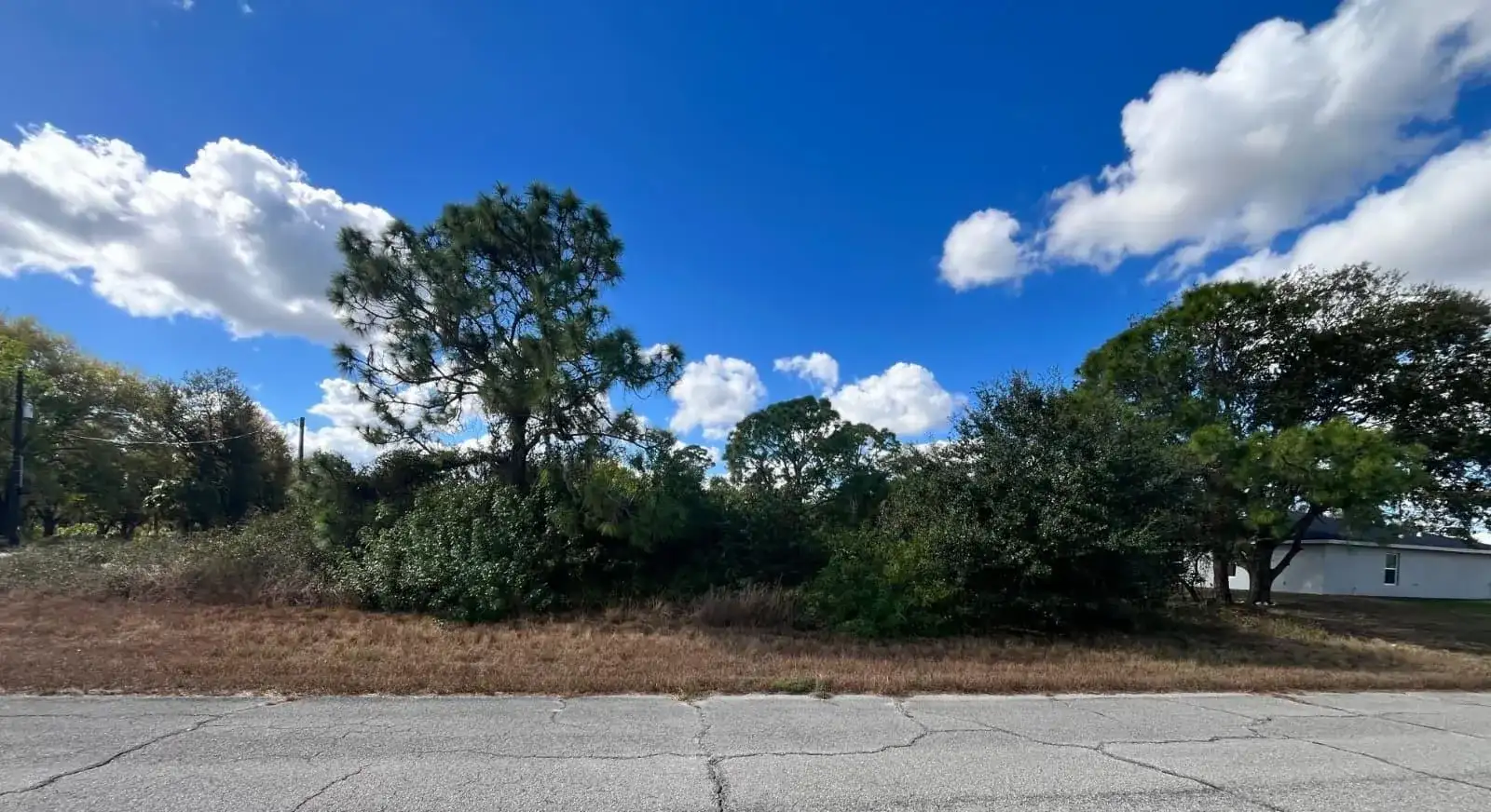 122 Pixie Avenue, FL 33935 photo 3