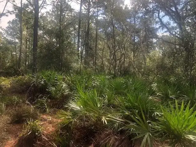 0 Old Grade Road, FL 33868 photo 2