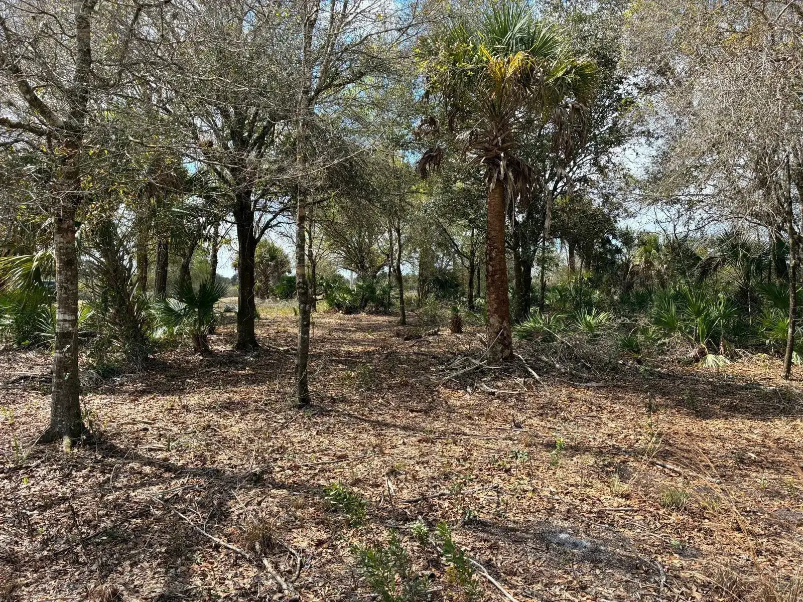 19731 NW 266th Street, Okeechobee FL 34972 photo 4
