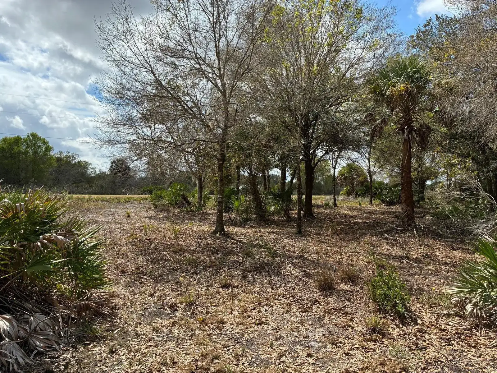 19731 NW 266th Street, Okeechobee FL 34972 photo 5