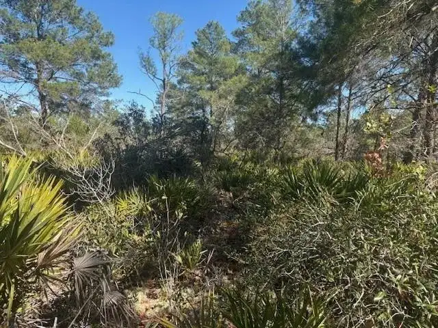 10681 Interlacher Drive, Sebring FL 33852 photo 2