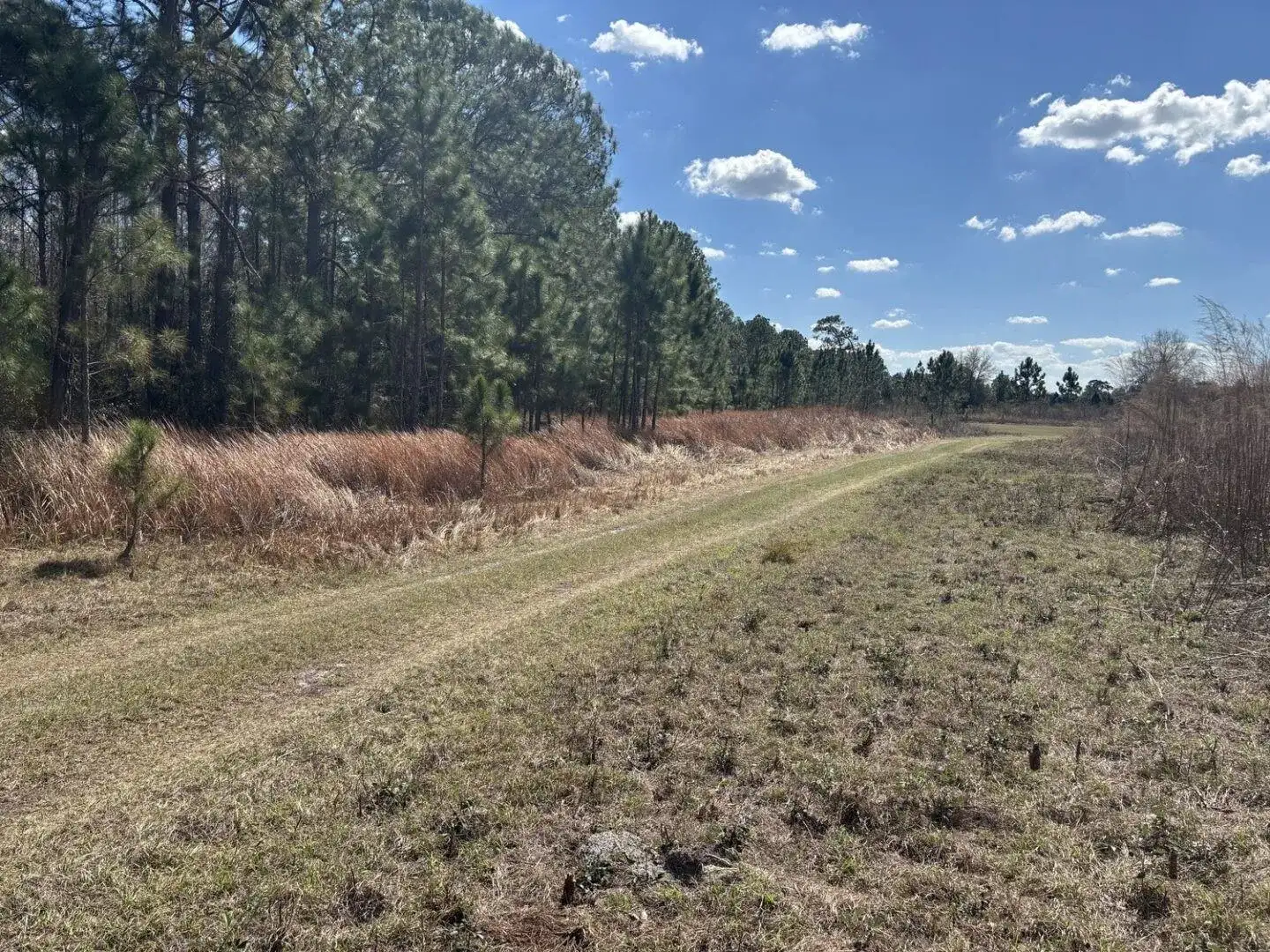 0 Old Grade Road, FL 33868 photo 3