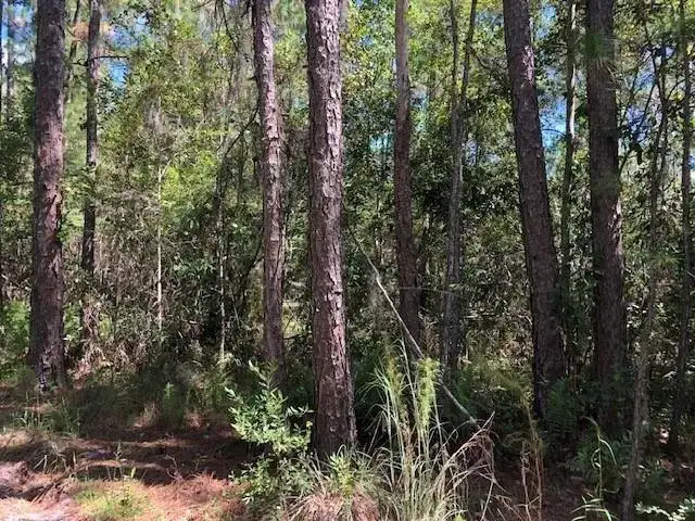 0 Old Grade Road, FL 33868 photo 2