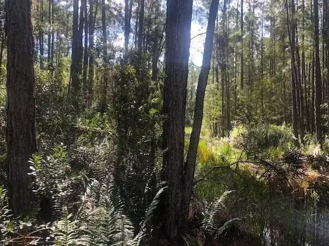 0 Old Grade Road, FL 33868 photo 2