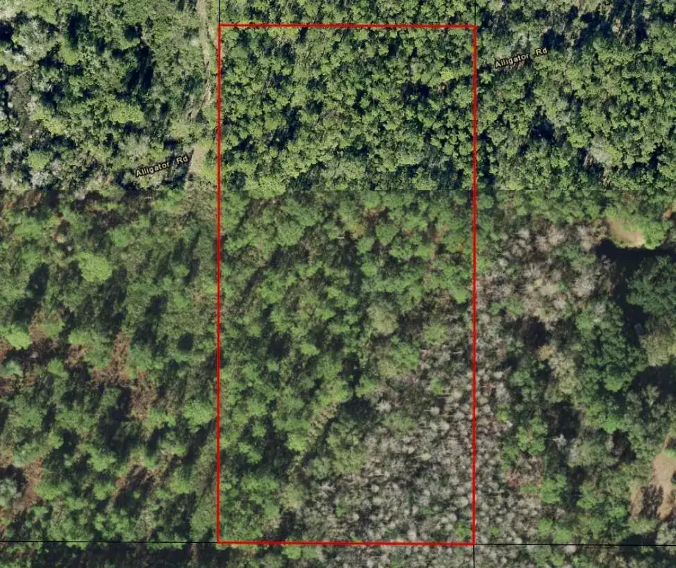 0 Alligator Road, Clermont FL 33868 photo 2
