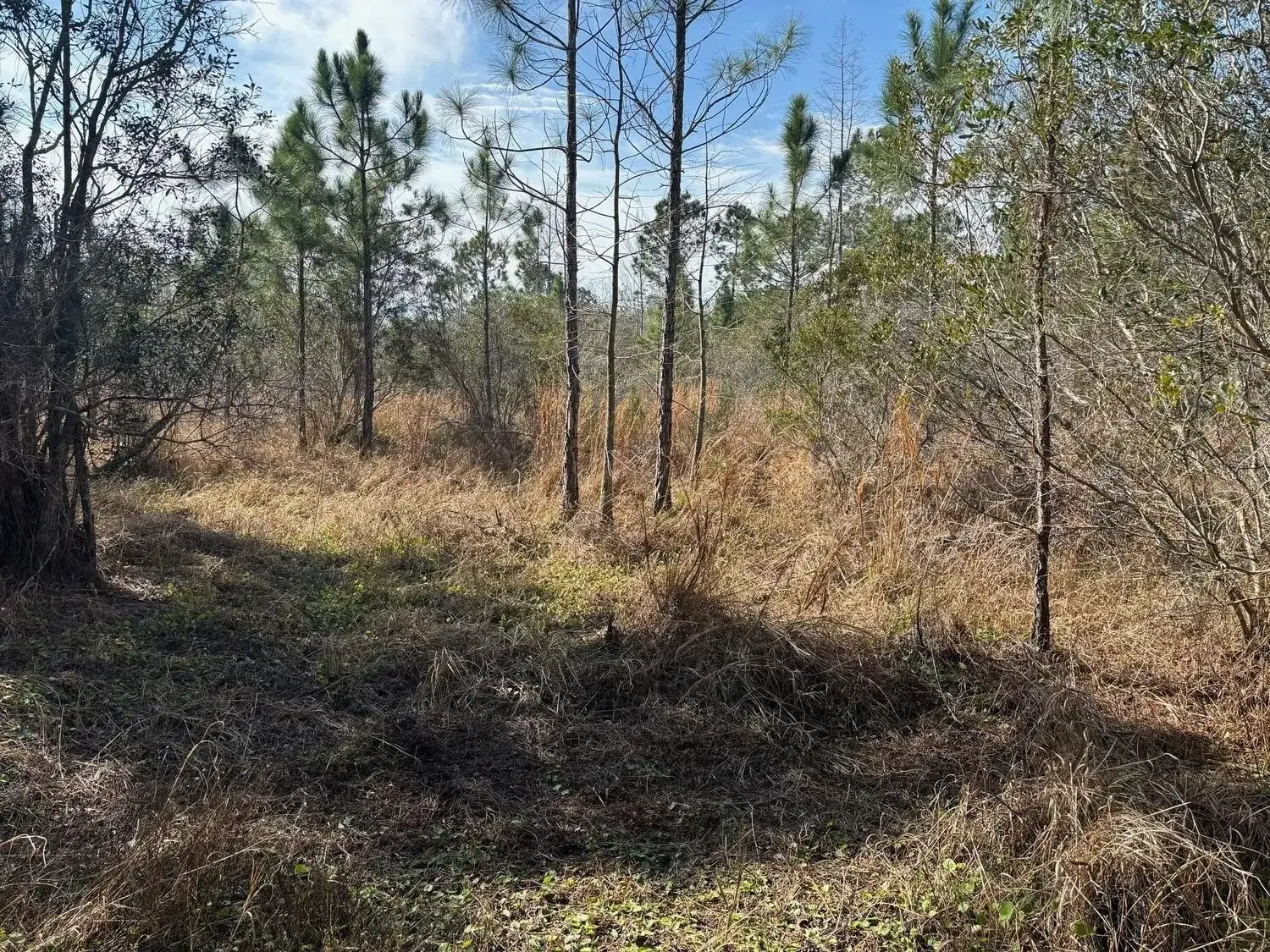 0 Old Grade Road, FL 33868 photo 2