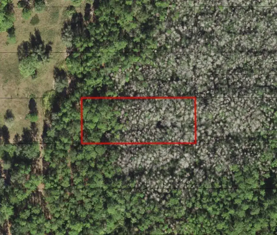 0 Old Grade Road, FL 33868 photo 2