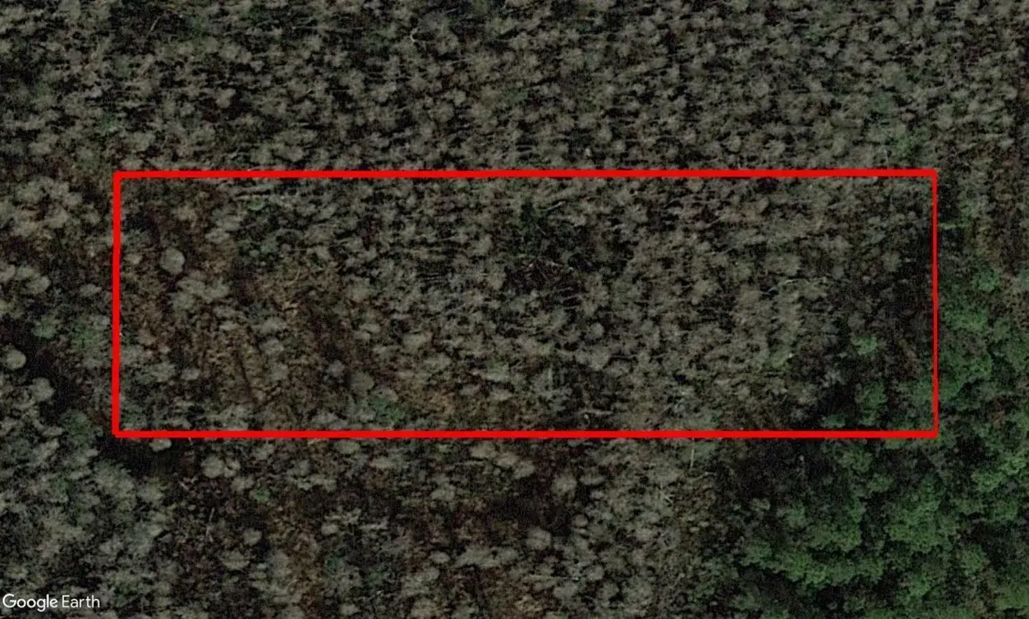 0 Old Grade Road, FL 33868 photo 2