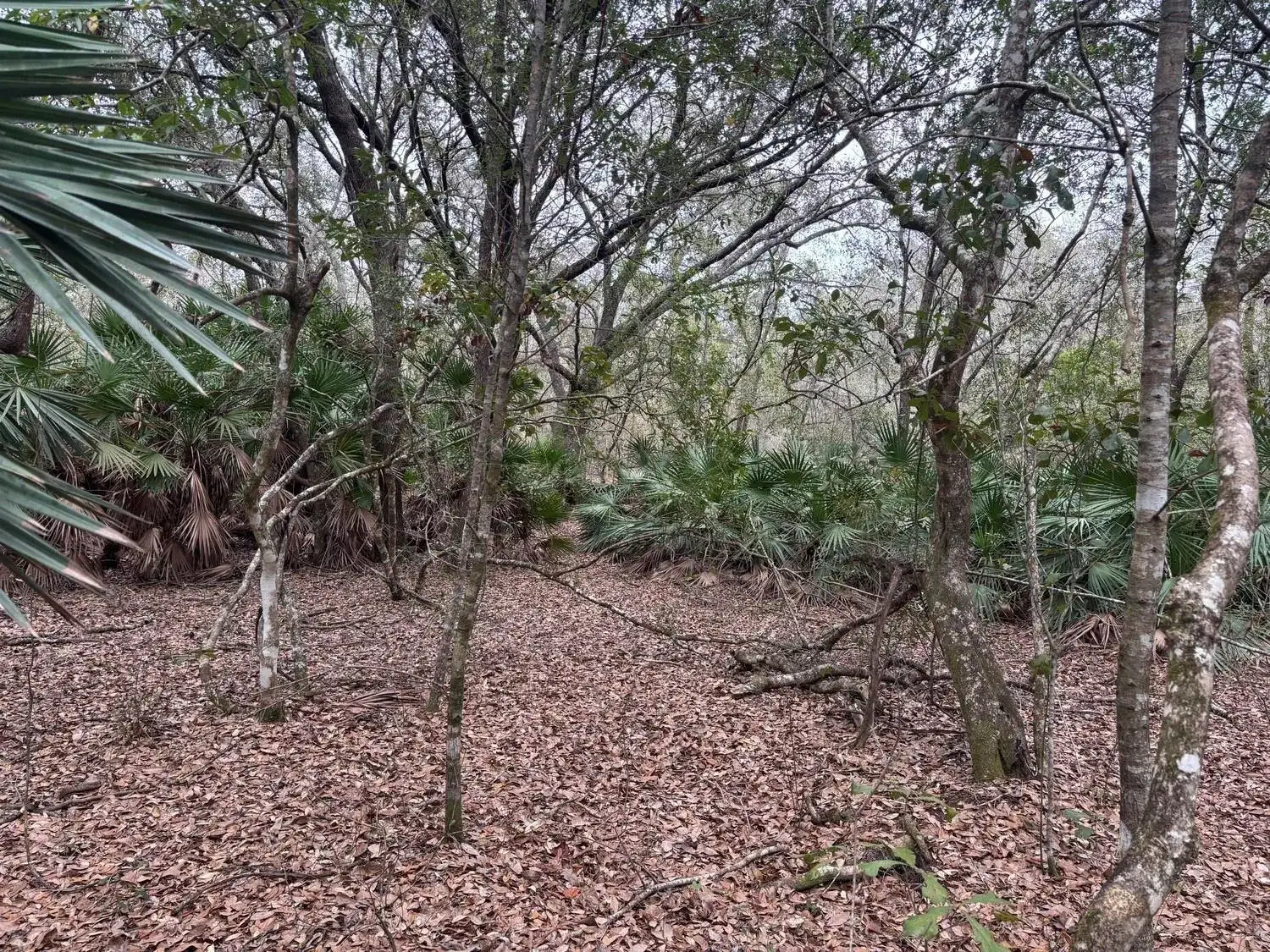 0 Old Grade Road, FL 33868 photo 2