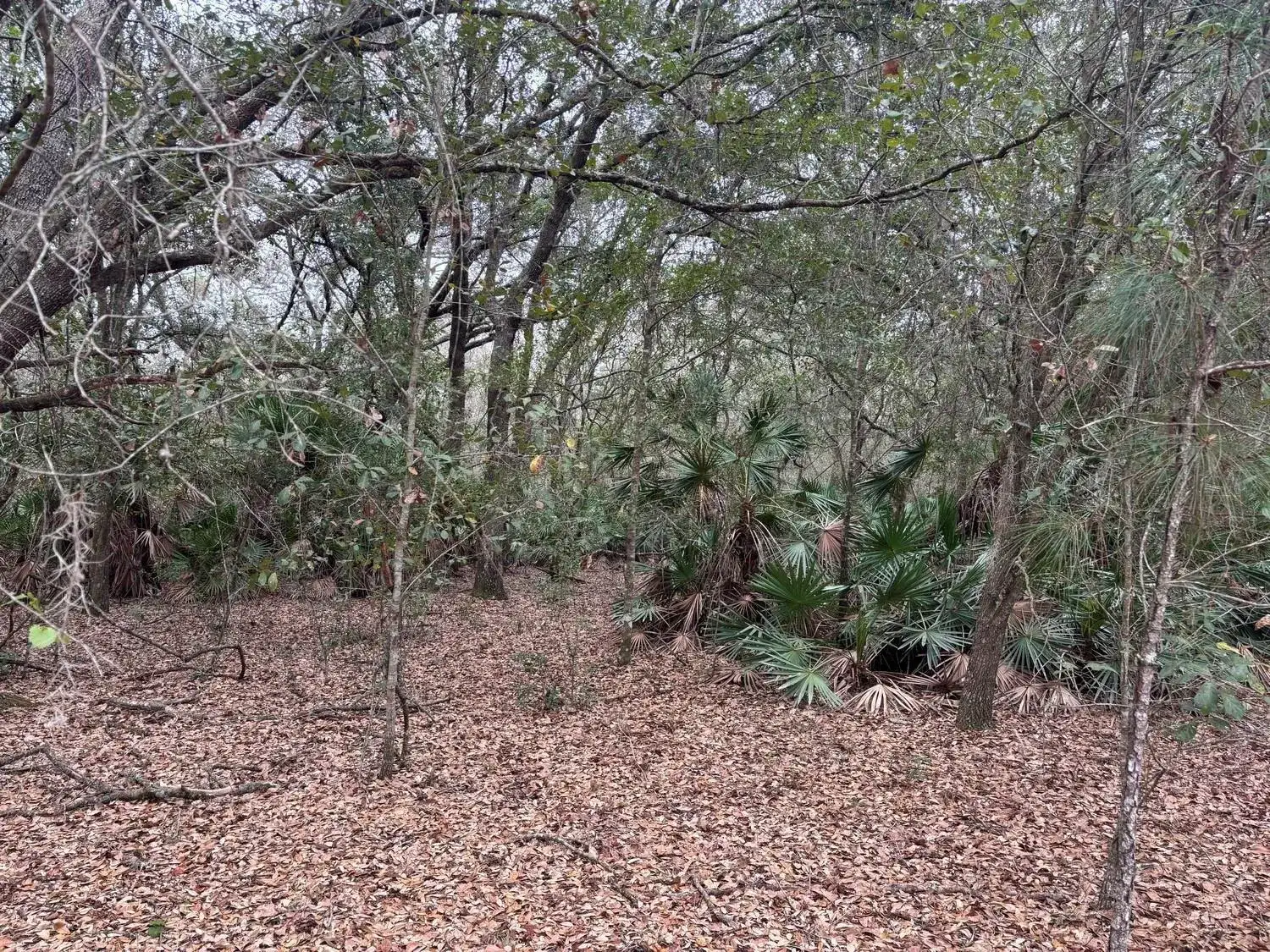 0 Old Grade Road, FL 33868 photo 3