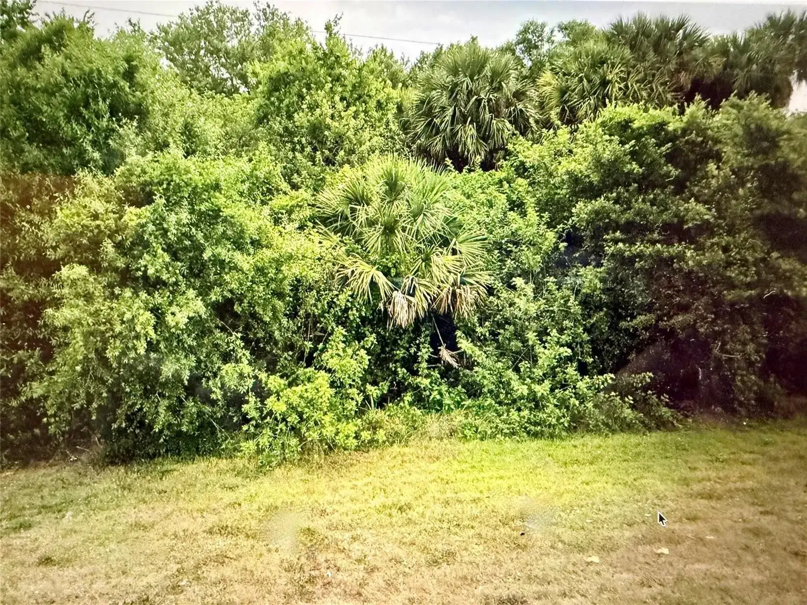 3712 N Hwy 98, Okeechobee FL 34972 photo 2