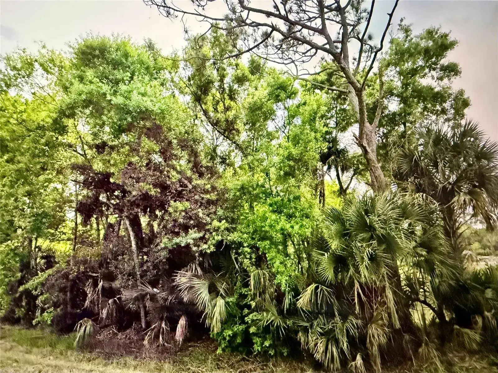 2551 NW 35th Drive, Okeechobee FL 34972 photo 2
