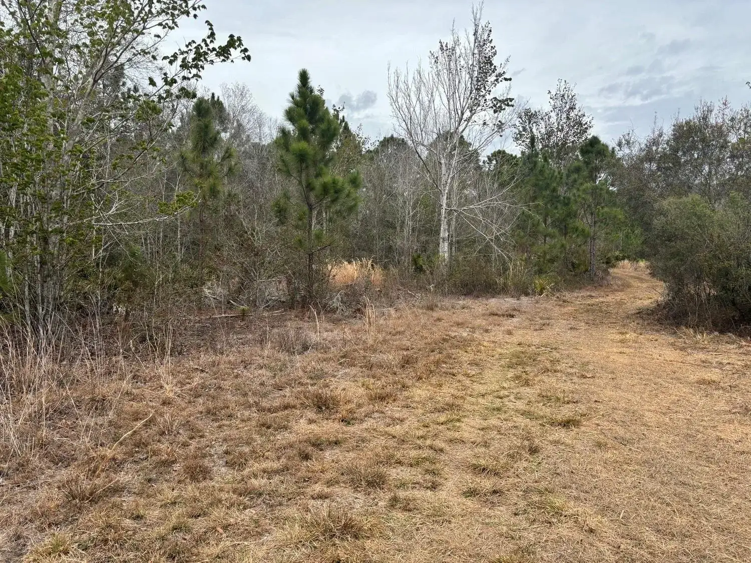 0 Old Grade Road, FL 33868 photo 3