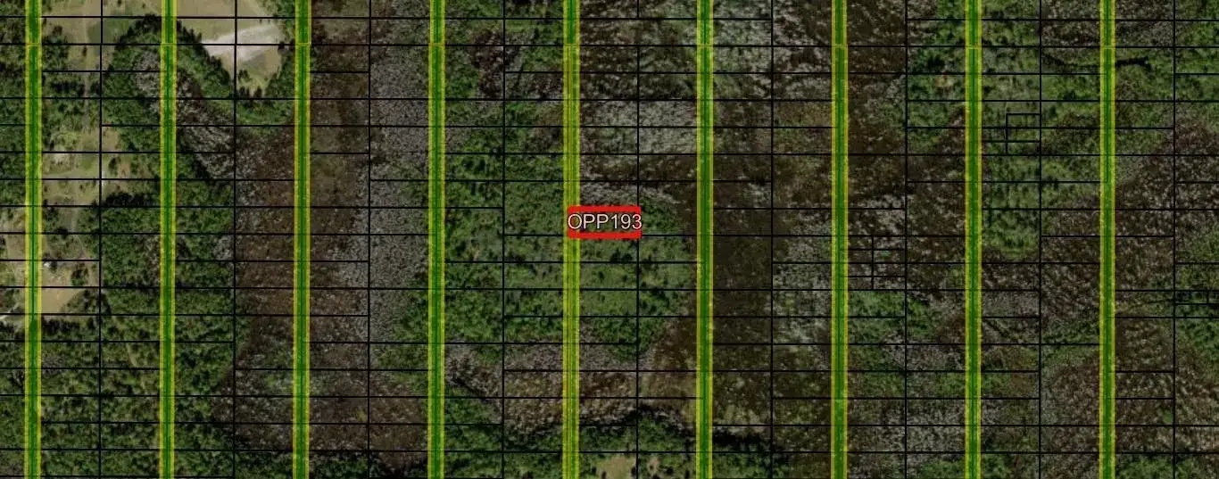 0 Old Grade Road, FL 33868 photo 2