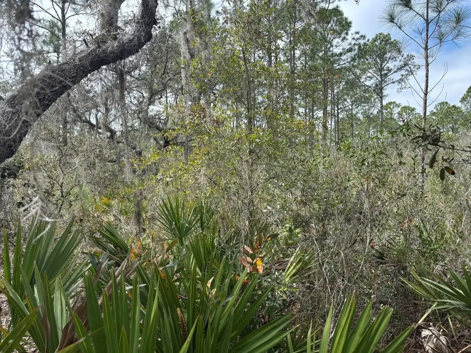 0 Old Grade Road, FL 33868 photo 2