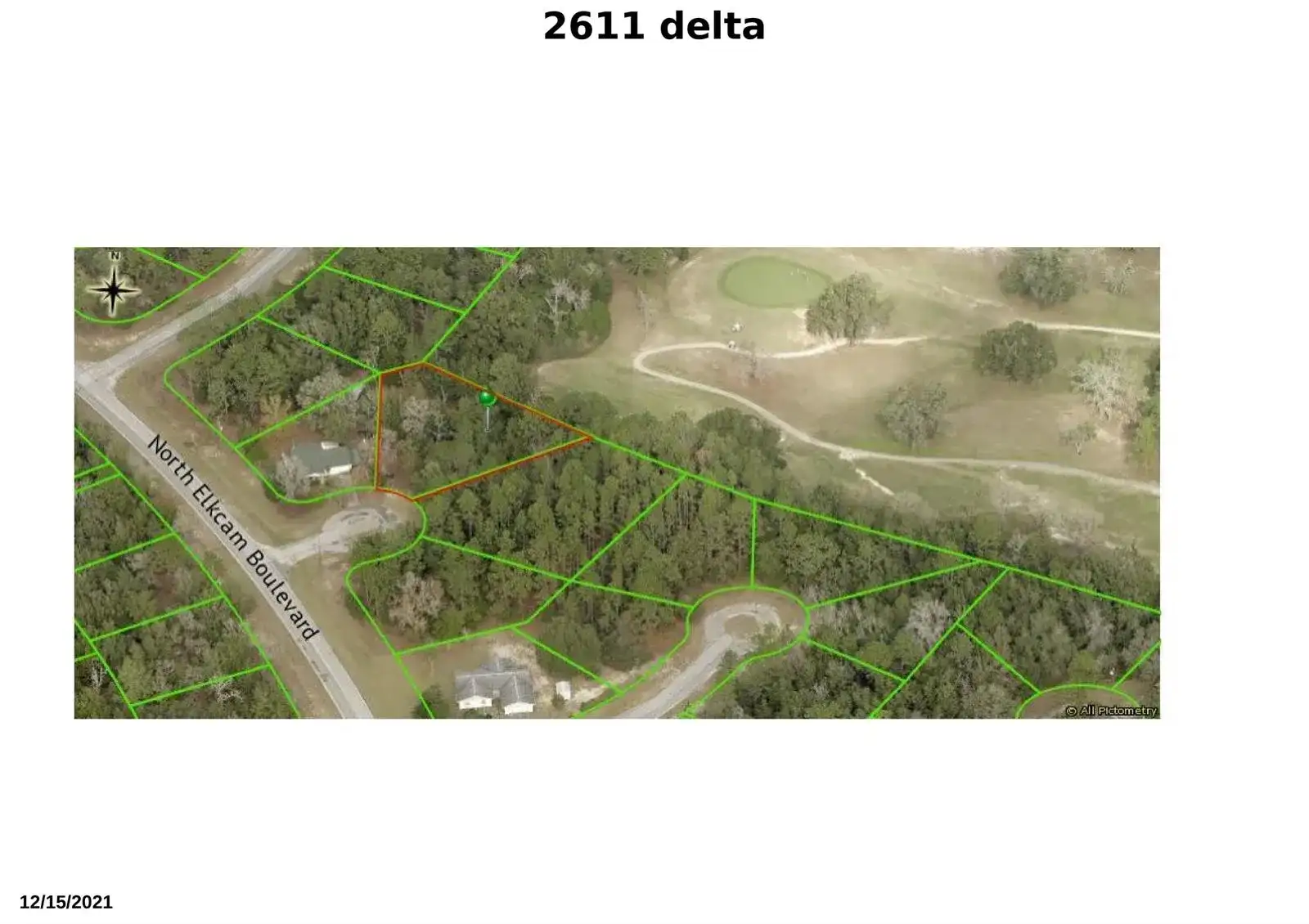 2611 W Delta Blue Court, FL 34434 photo 2