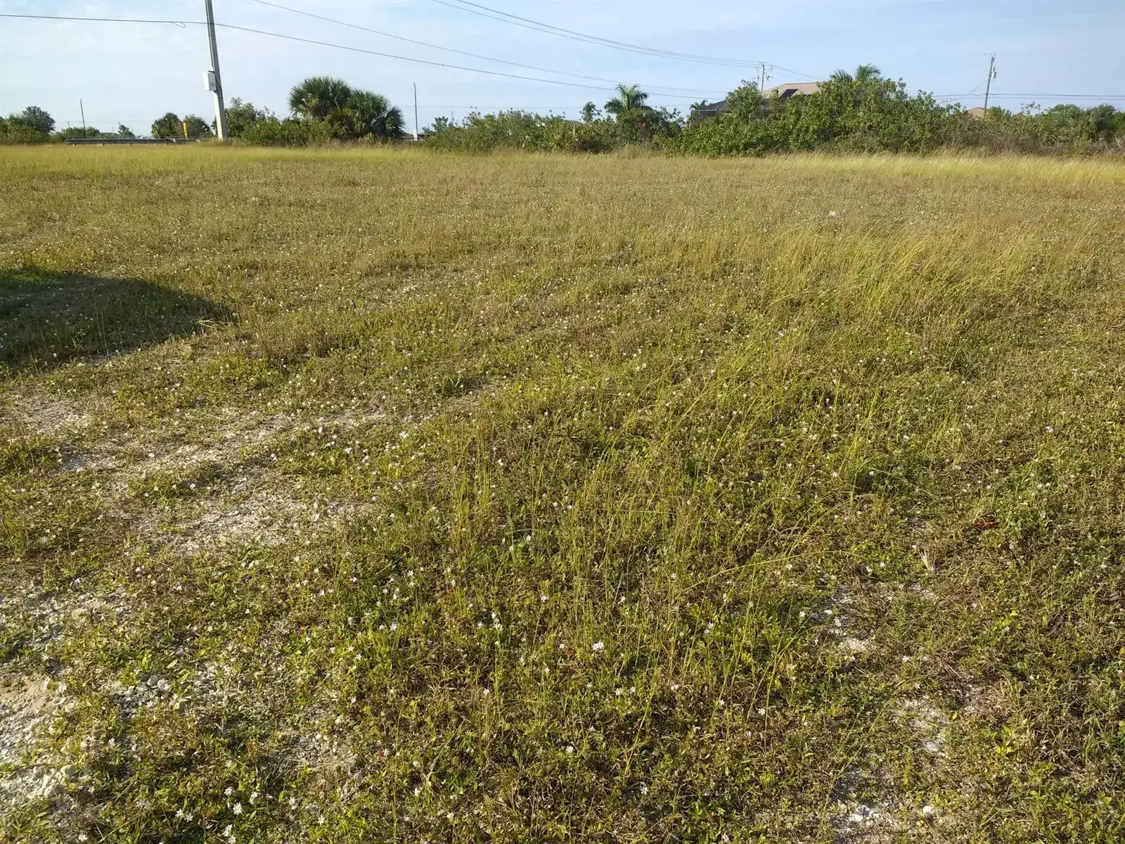 725 NW 8th Terrace, Cape Coral FL 33993 photo 3