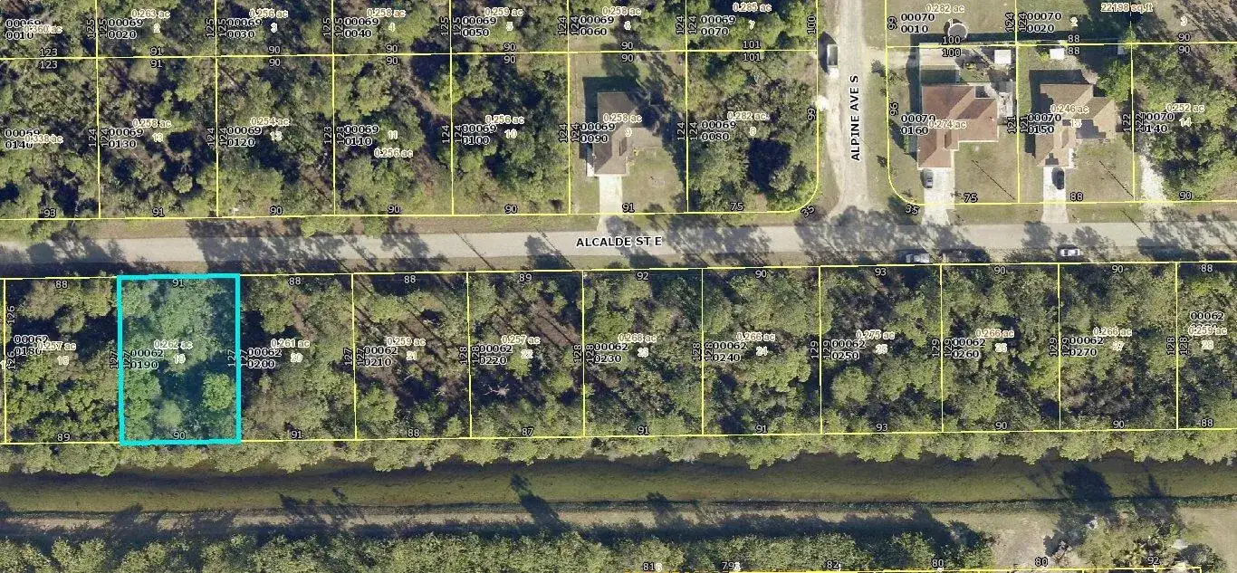 920 Alcalde Street E, Lehigh Acres FL 33974 photo 3