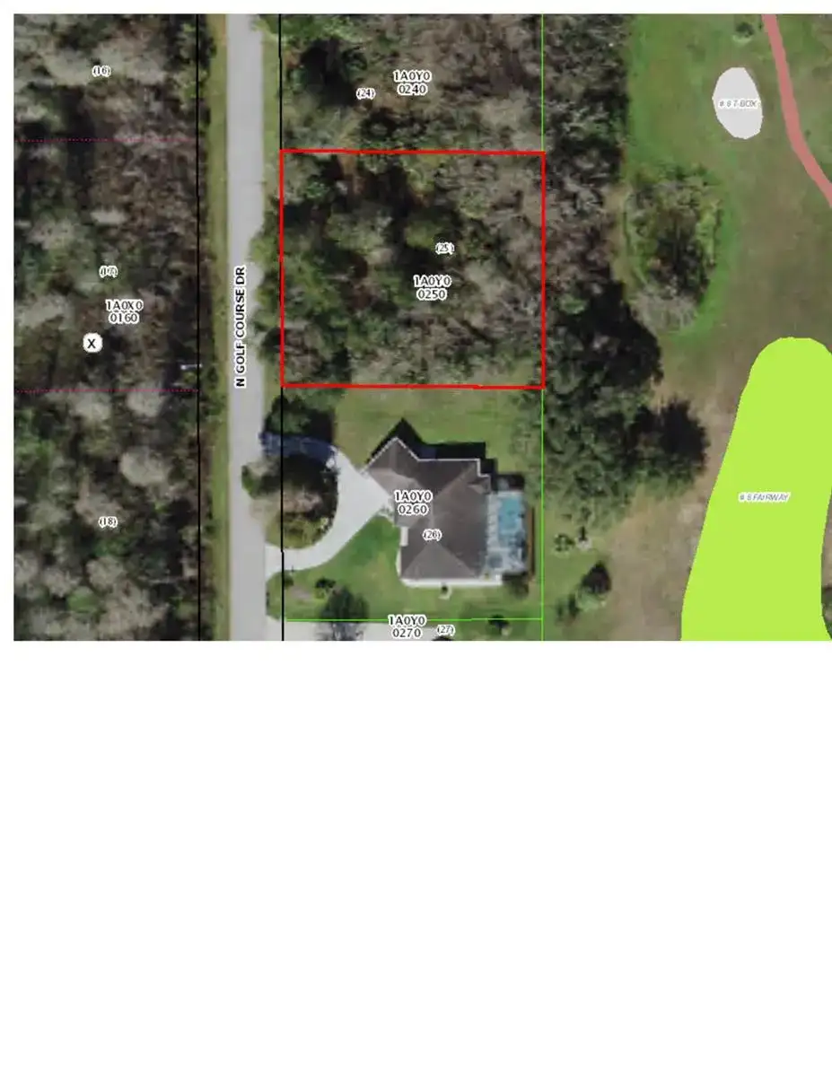 603 N Golf Course Drive, FL 34429 photo 2