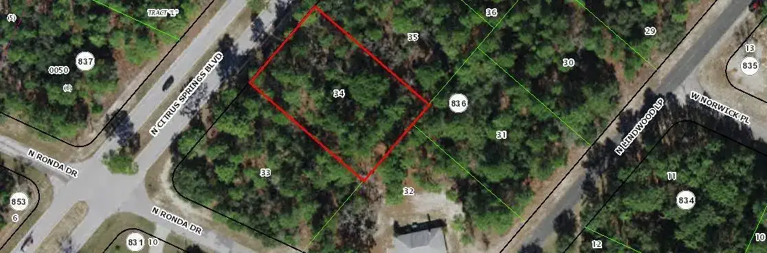 8621 N Citrus Springs Boulevard, FL 34433 photo 2