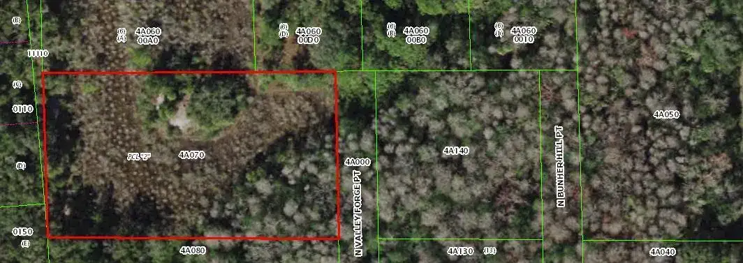 916 N Valley Forge Point, FL 34429 photo 2