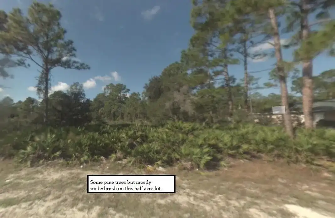 2309 Johns Avenue, FL 33920 photo 5