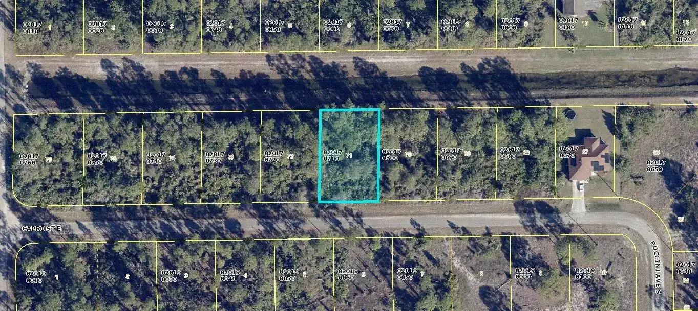 1113 Capri Street E, Lehigh Acres FL 33974 photo 2