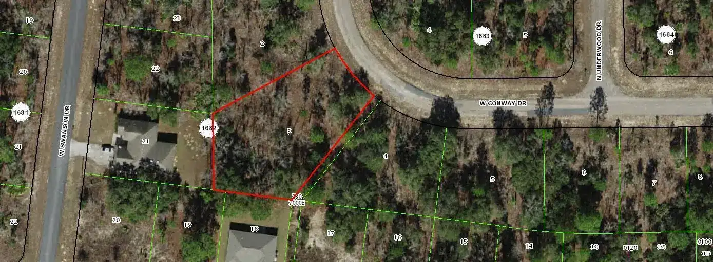 2352 W Conway Drive, FL 34434 photo 2