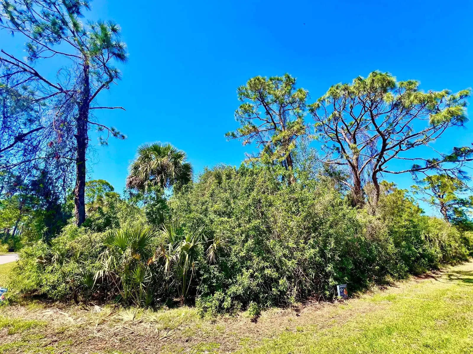12142 Joyner Avenue, Port Charlotte FL 33953 photo 2