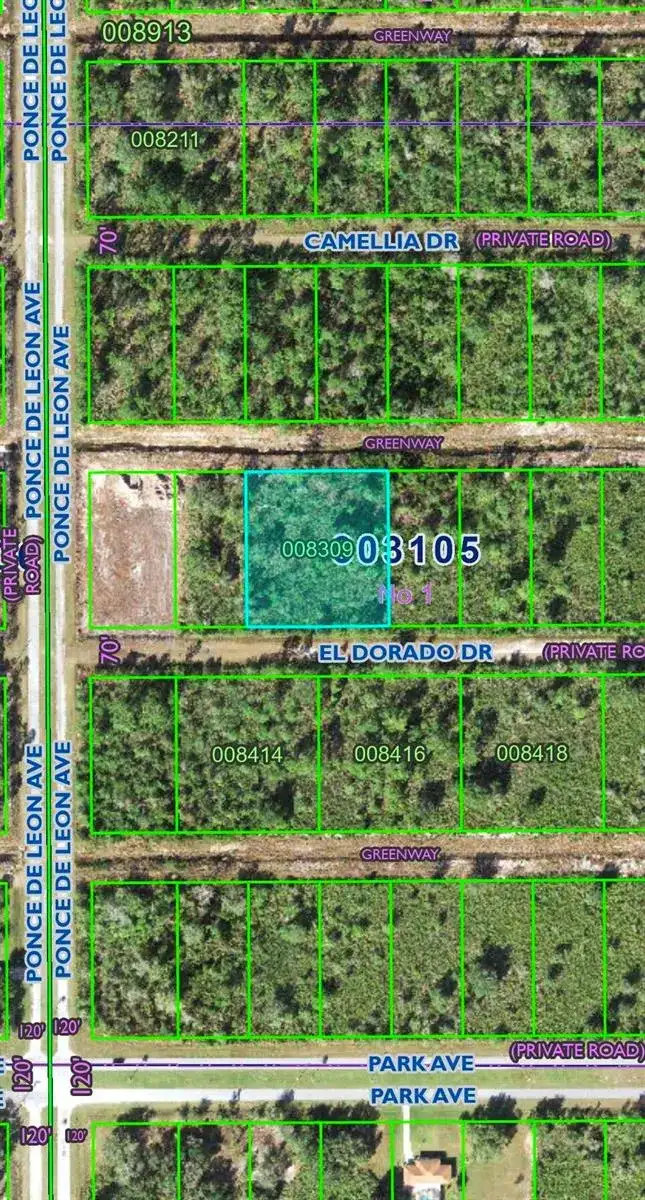 0 El Dorado Drive, FL 33855 photo 3