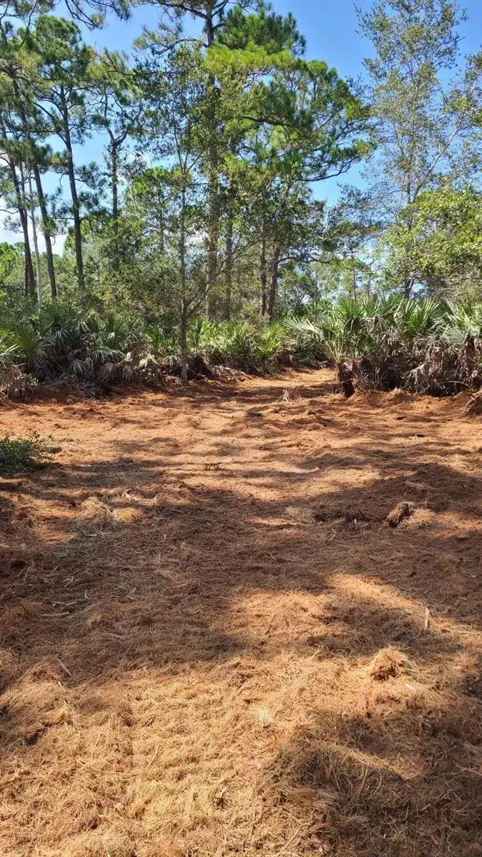 5375 69th Street, Vero Beach FL 32967 photo 3