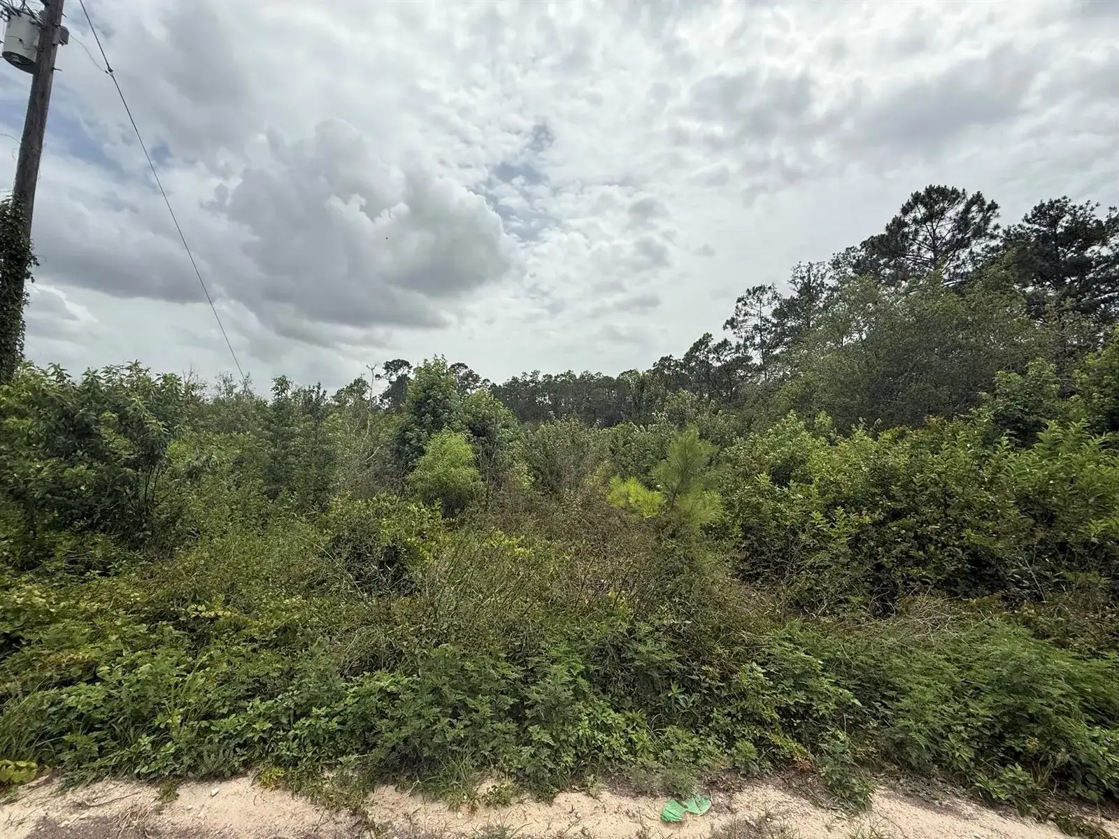 129 Fishermans Drive, FL 32148 photo 4