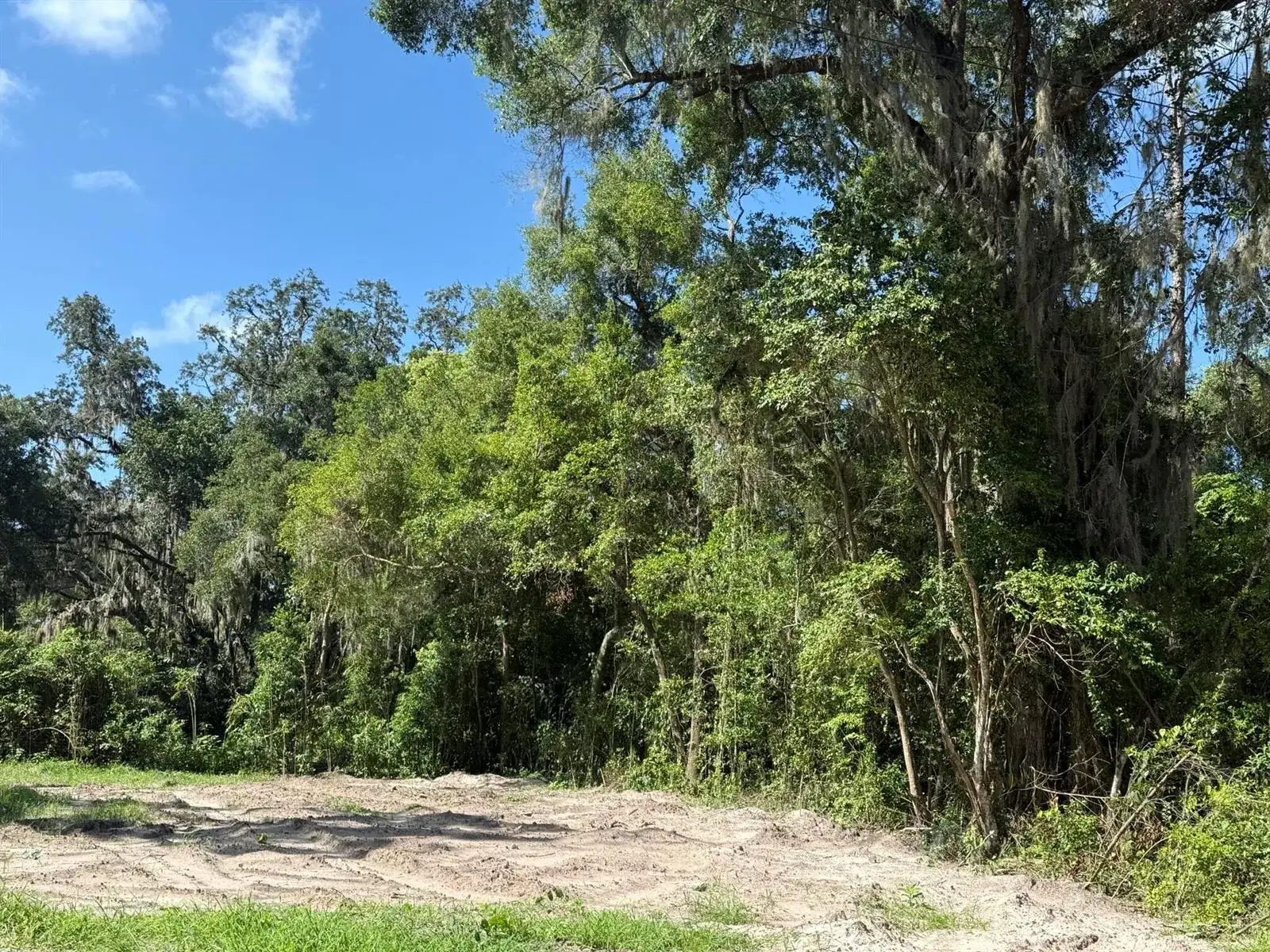 115 Roddy Lane, Palatka FL 32177 photo 2