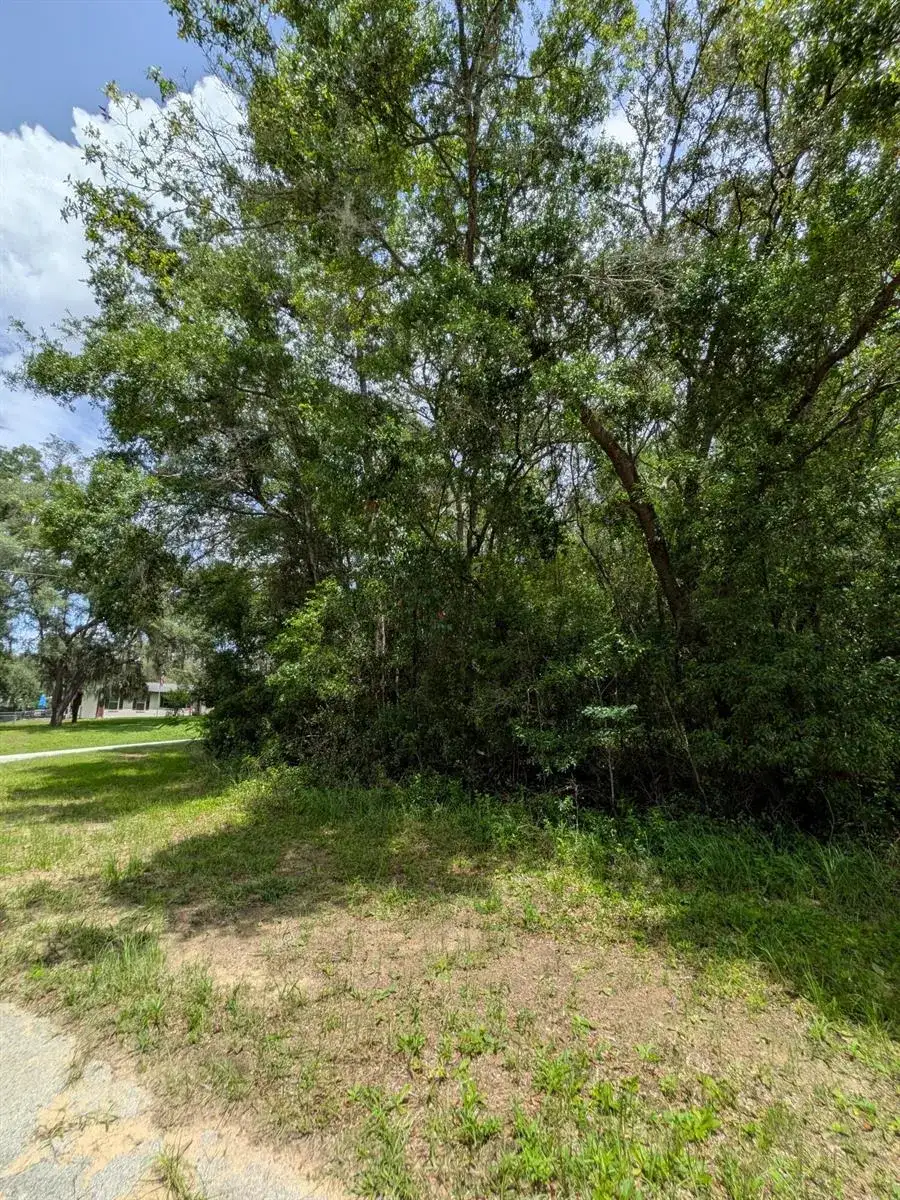 8989 N Conch Terrace, FL 34434 photo 2