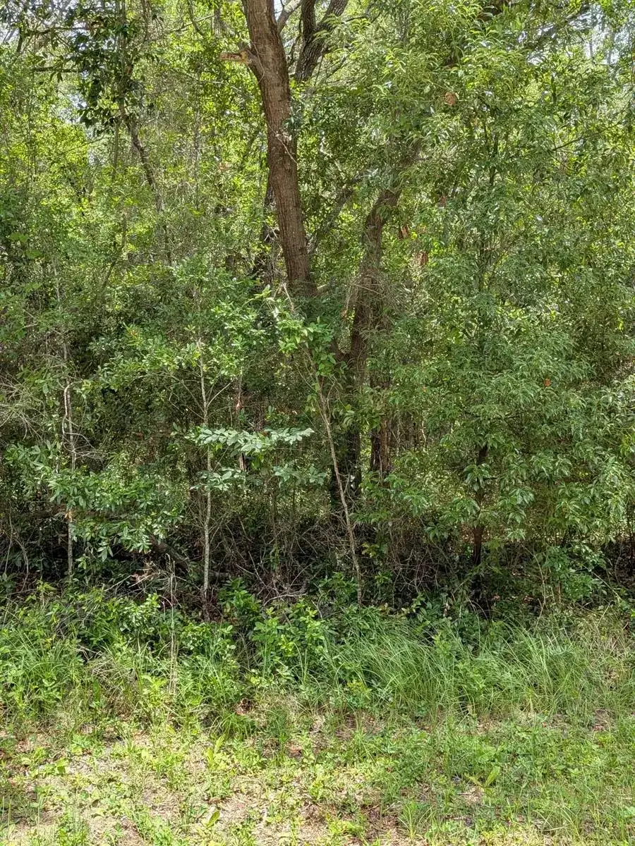 8989 N Conch Terrace, FL 34434 photo 3