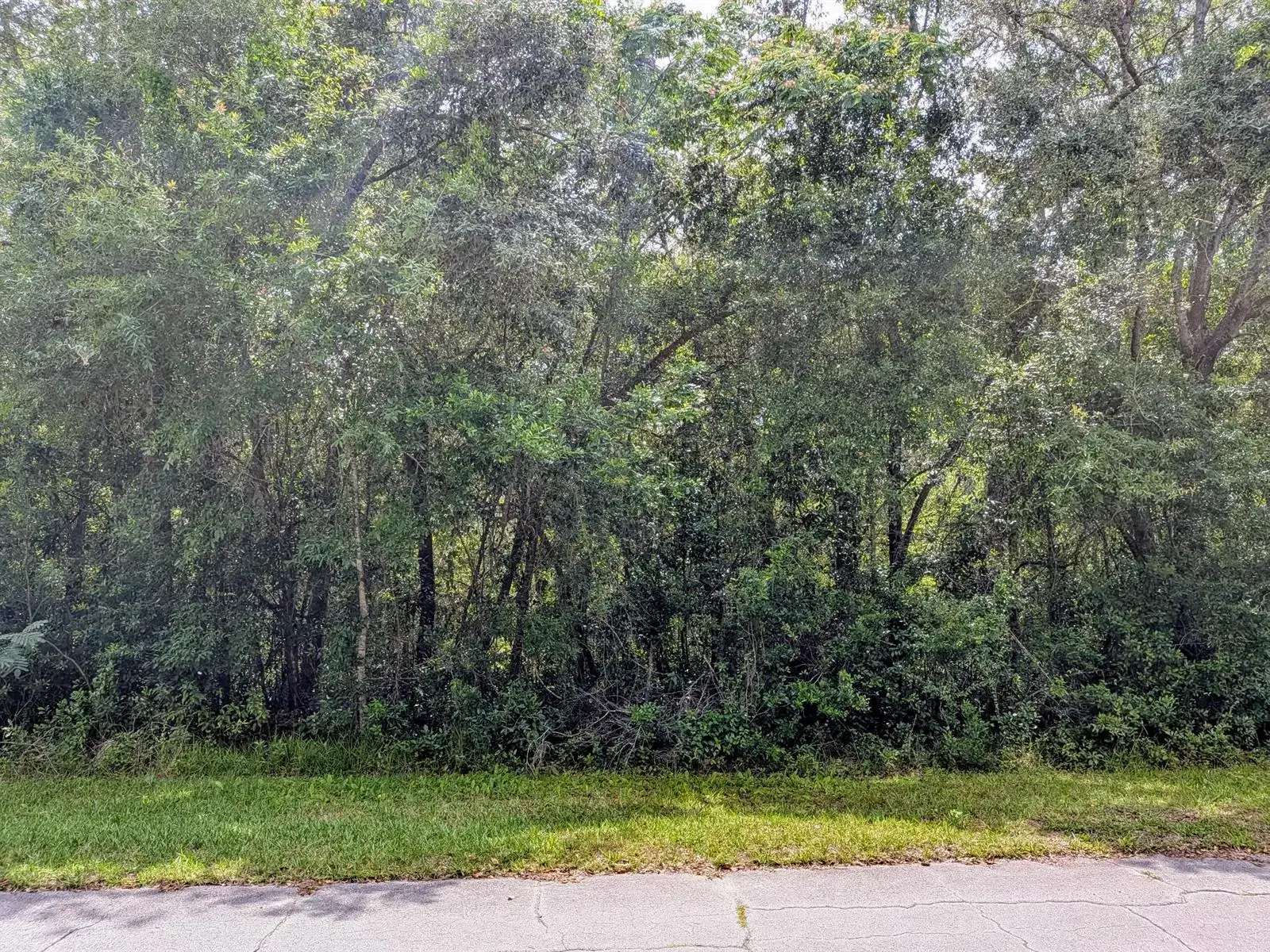 8970 N Joann Drive, FL 34434 photo 2