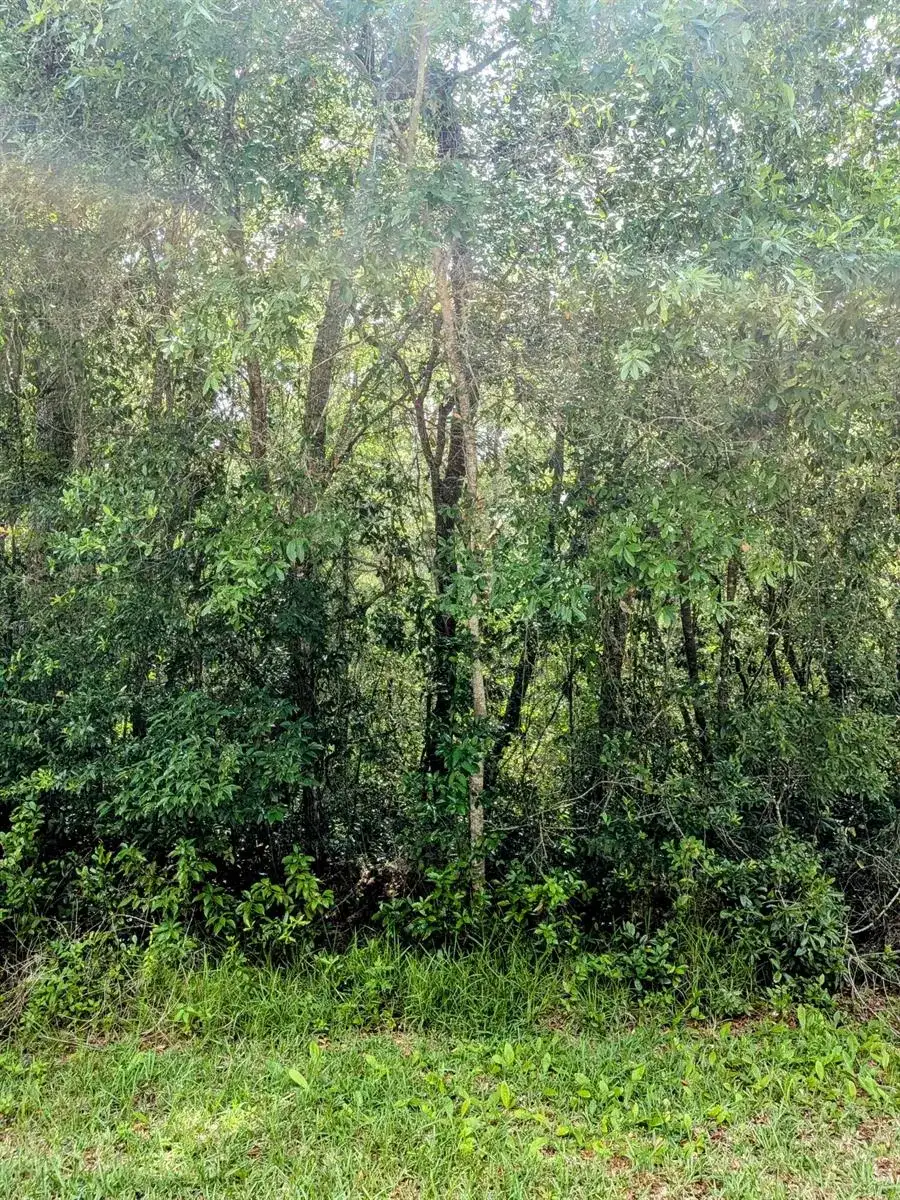 8970 N Joann Drive, FL 34434 photo 3