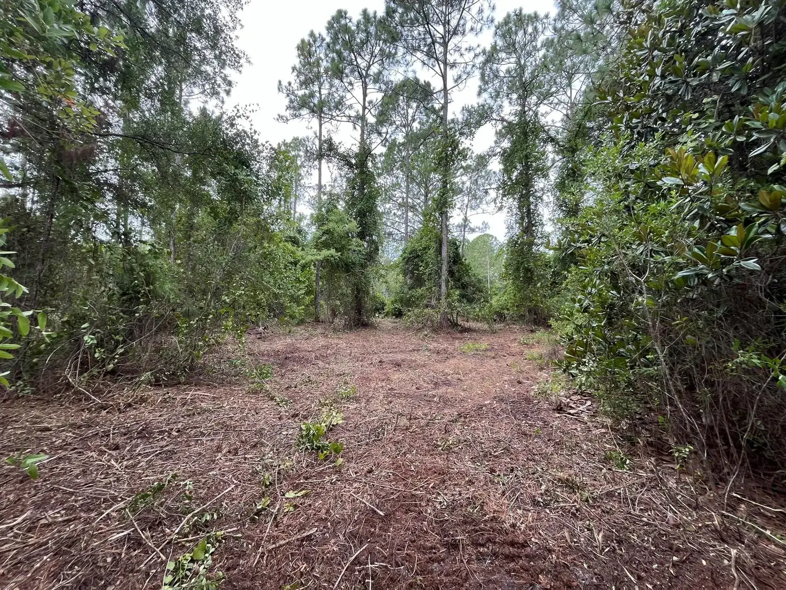 147 Roebuck Street, FL 32139 photo 4