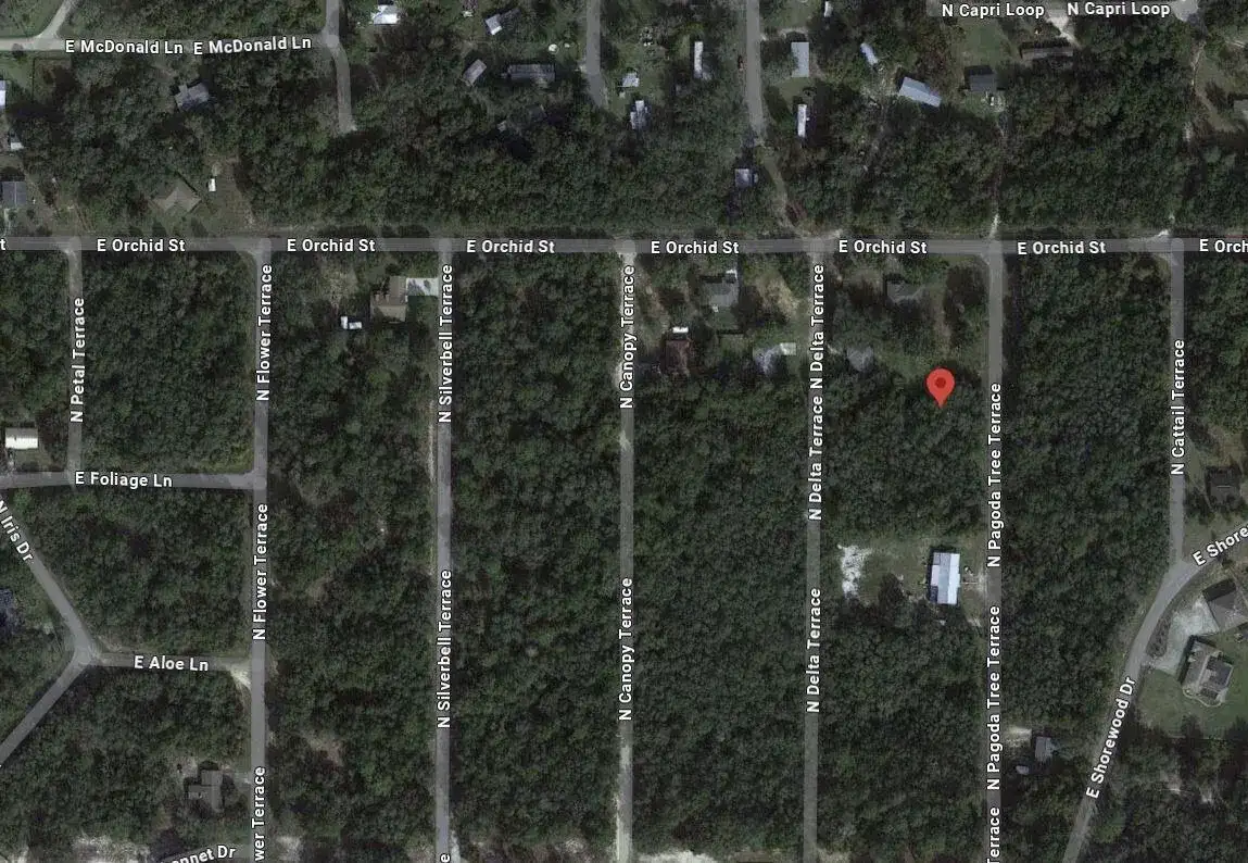 6634 N Pagoda Tree Terrace, FL 34442 photo 2
