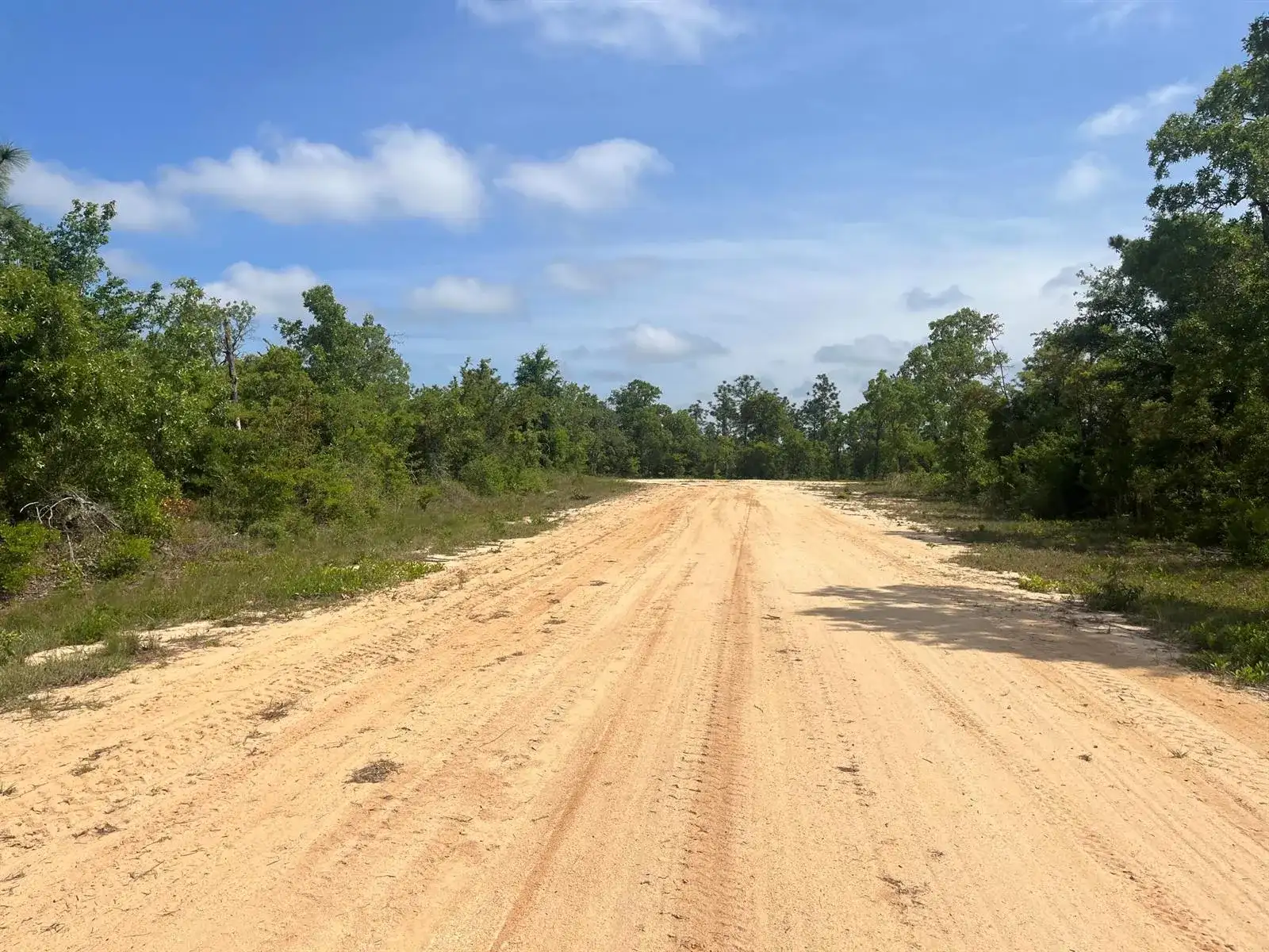 Tbd Rome Avenue, FL 32420 photo 2