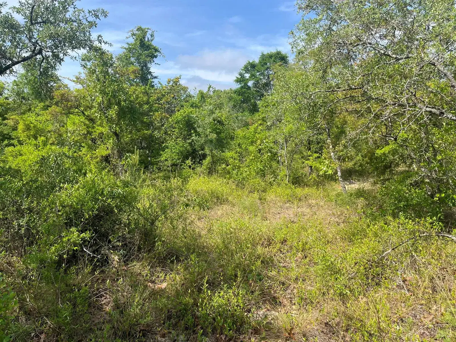 Tbd Rome Avenue, FL 32420 photo 3