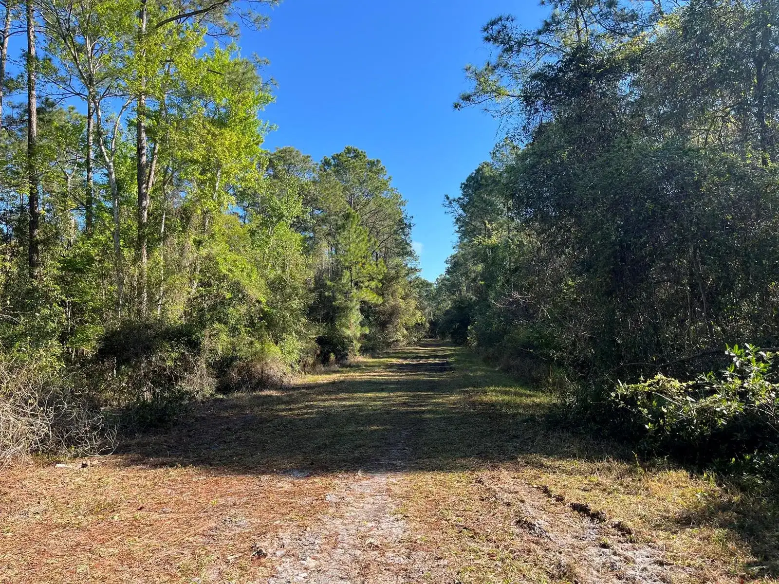 208 SE 3rd Street, FL 32139 photo 2