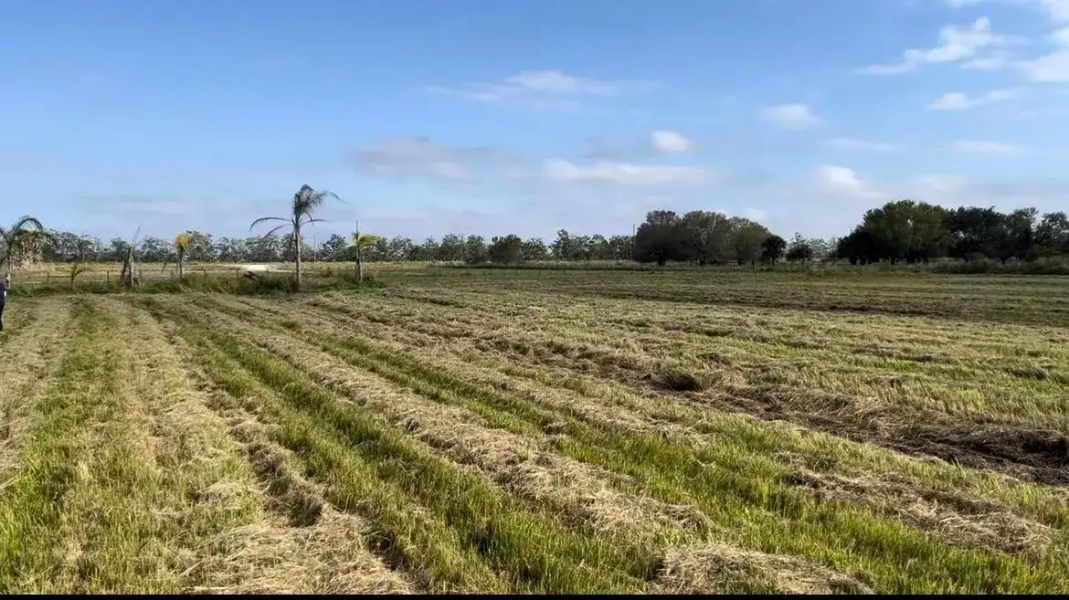 1503 S Header Canal Road, Fort Pierce FL 34945 photo 2
