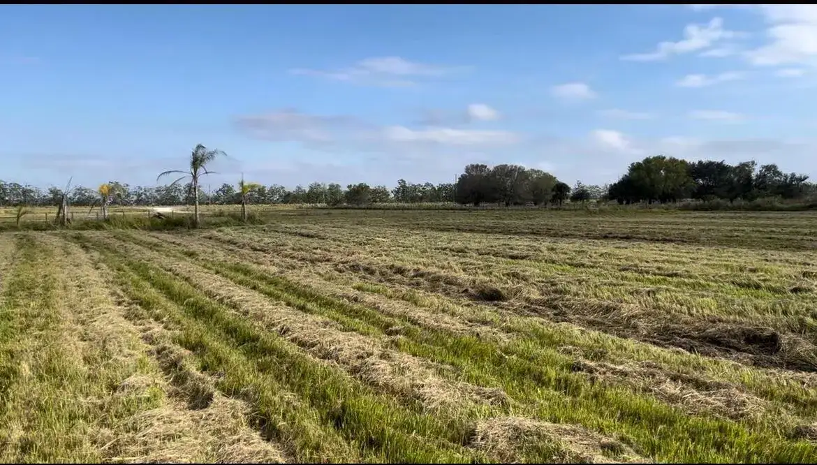 1503 S Header Canal Road, Fort Pierce FL 34945 photo 3
